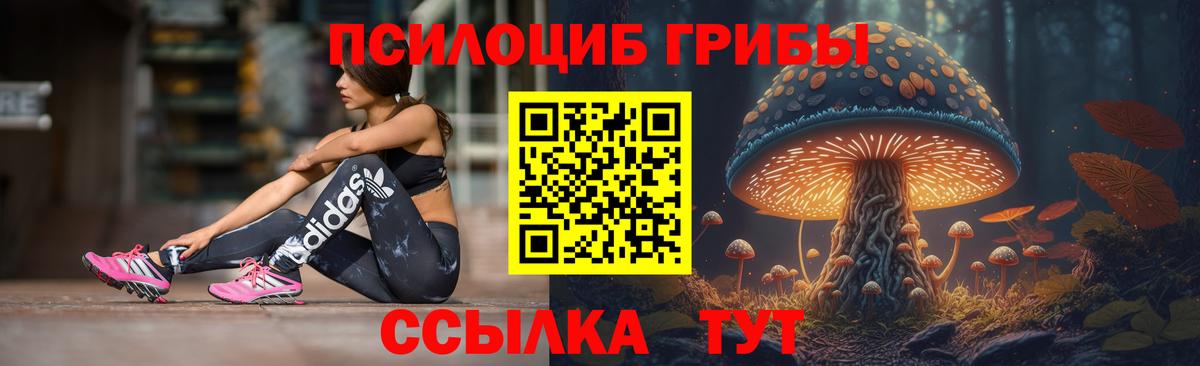 Псилоцибиновые грибы мицелий  Вход с VPN  Павловский Посад 